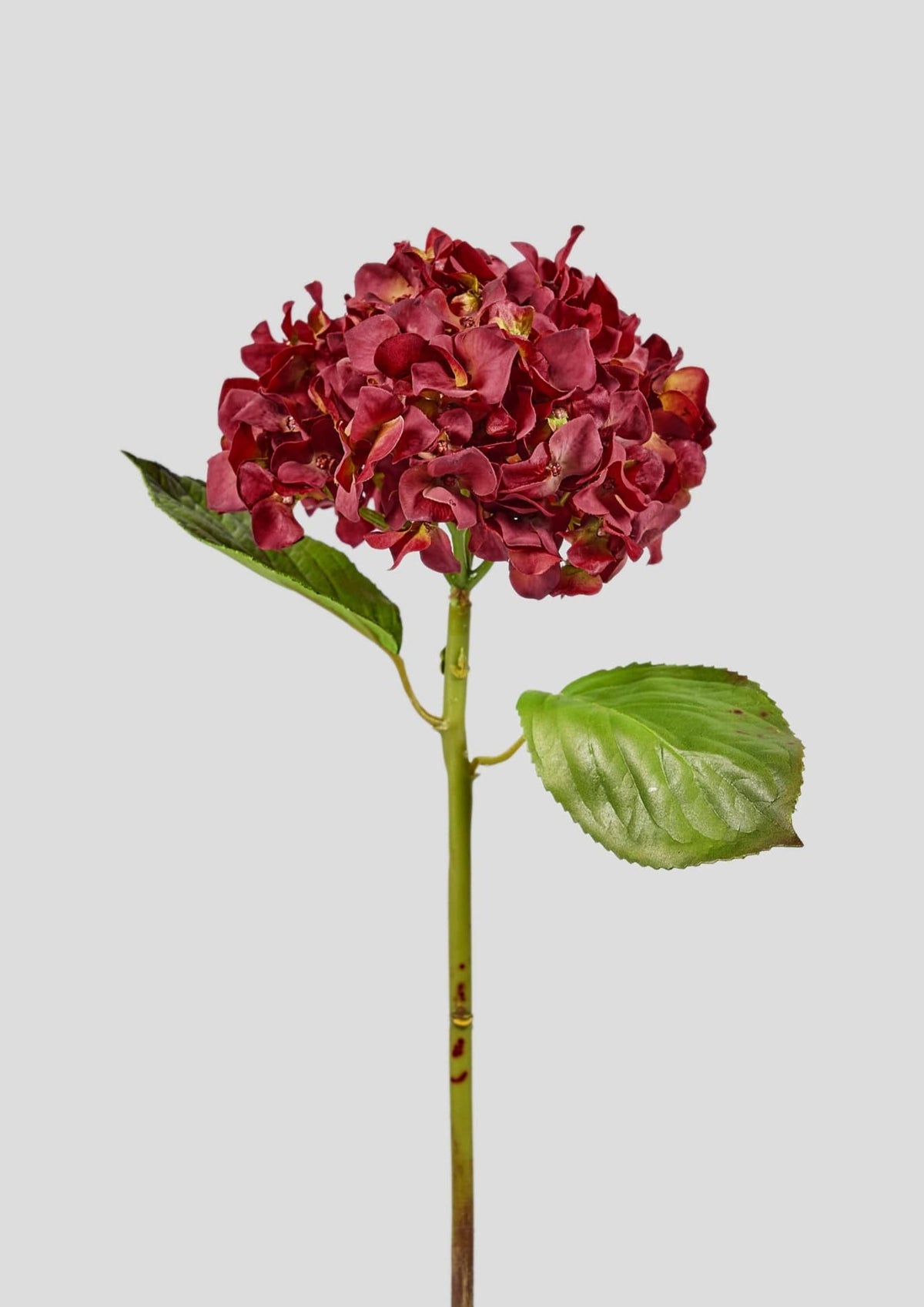 Red Real Touch Hydrangea - 18 Radial Factory Store We'll